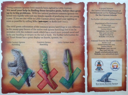 Iguana Factsheet (2)