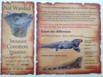 Iguana Factsheet
